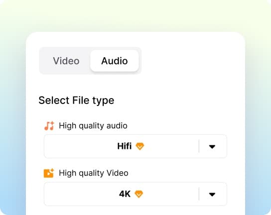 3. Odaberite svoj format